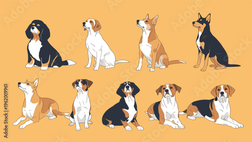 Large collection of various dog breeds in different sitting and lying down poses arranged on a bright orange background for pet lovers.