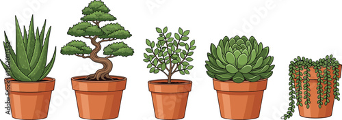 Hand drawn vector illustration of potted houseplants including aloe vera, bonsai tree, succulent, small shrub, and string of pearls plant.