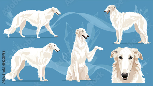 Diverse set of white borzoi dog illustrations showing the breed in multiple poses and a close-up face profile on a blue base.