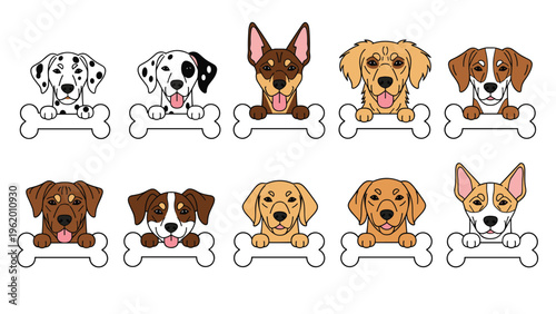 Collection of cute dog breed face illustrations with each puppy peeking over a white bone-shaped border on a white background.