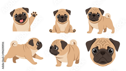 Collection of Pug dog illustrations featuring the breed in different poses like waving, sitting, standing, and running.