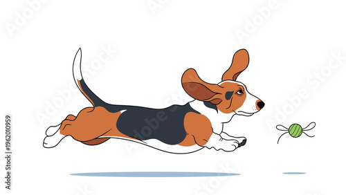 Energetic Basset Hound dog illustration showing the pet running fast with its long ears flapping towards a green ball.