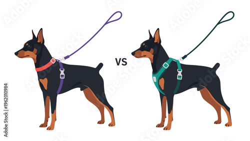 Educational illustration comparing a dog wearing a traditional collar and leash versus a full body harness and leash.