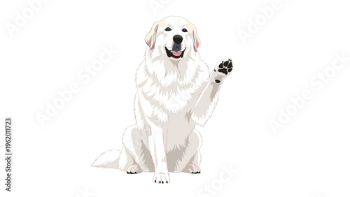 Large fluffy white Great Pyrenees dog sitting and raising a paw in a friendly greeting on a white background.