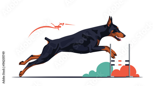 Dynamic illustration of a Doberman Pinscher jumping over a hurdle during an agility competition with motion trails.
