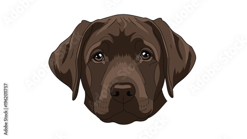 Chocolate labrador retriever dog head portrait with expressive eyes and floppy ears illustrated on a clean white background.