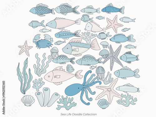 Sea Life Doodle Collection Vector