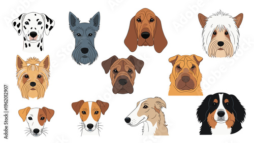 Collection of diverse dog breed heads including dalmatian, schnauzer, bloodhound, yorkie, and more, in a detailed art style.
