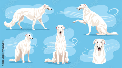 White borzoi dog illustrations featured in different active and stationary poses against a soft blue sky background with wind.