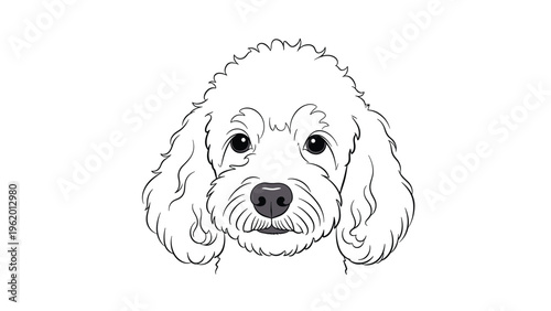 Close up line art drawing of a poodle or goldendoodle head with soft curly fur and friendly eyes on a white background.