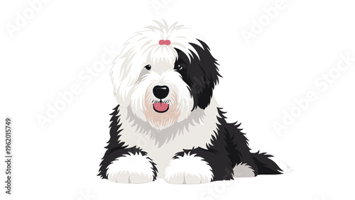 Fluffy old english sheepdog sitting comfortably with long white and grey fur and a small pink bow on its head for style.