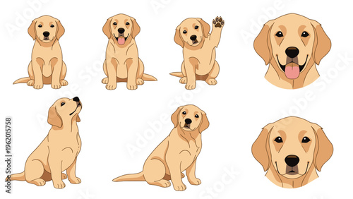 Comprehensive set of golden retriever dog illustrations showing different poses and friendly expressions on white background.