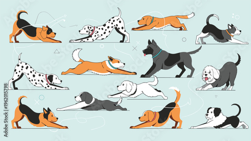 Large set of various dog breeds performing stretching exercises on a light blue background with decorative lines.