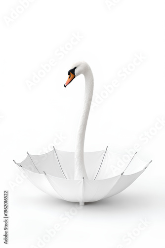White umbrella with swan neck handle on white background, surreal minimal concept