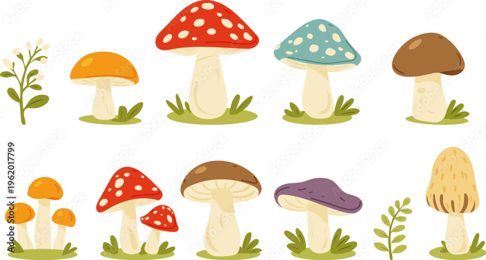 Obraz premium Cartoon mushrooms set. Forest fungi plants. Fall season food, fungus, natural decorations. Boletus, fly agaric, morels, chanterelles in childish style. Isolated flat graphic vector illustrations