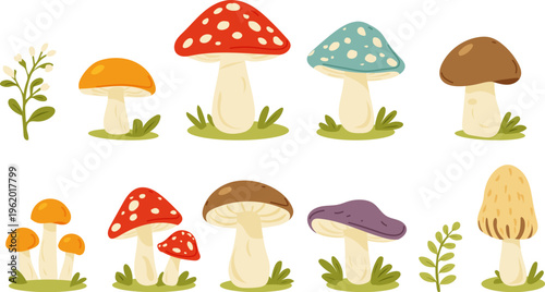 Cartoon mushrooms set. Forest fungi plants. Fall season food, fungus, natural decorations. Boletus, fly agaric, morels, chanterelles in childish style. Isolated flat graphic vector illustrations