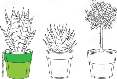 Potted plants collection with cactus and houseplants in outline and colored styles, hand drawn vector illustration for home decor, gardening and botanical design projects