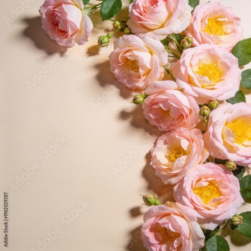Vertical arrangement of pastel French roses with green leaves against soft beige background with copy space