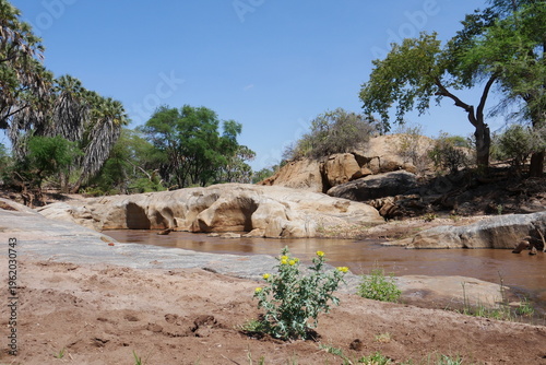Foto Fluss Tsavo River im Tsavo Nationalpark in Kenia