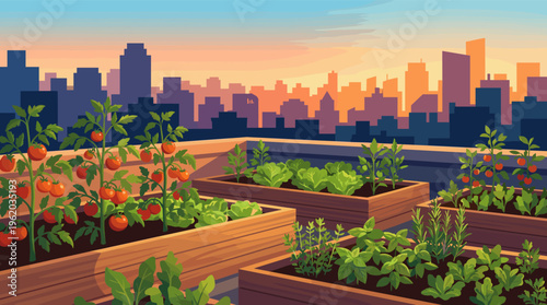 A peaceful urban rooftop garden with fresh vegetables growing in raised beds against a city skyline at sunset. Concept for sustainability, healthy living, and local food. Vector.