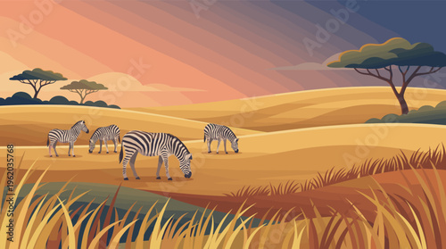 A herd of zebras grazes peacefully in the African savanna during a warm sunset. This vector illustration evokes tranquility and is ideal for travel or nature concepts.