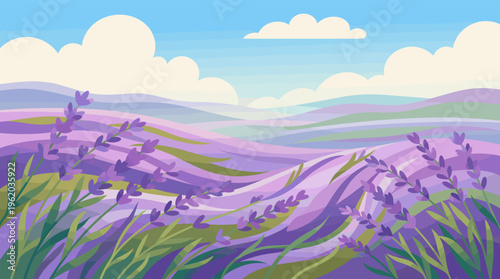 A peaceful vector illustration of a rolling lavender field. The serene landscape with purple flowers is perfect for wellness, aromatherapy, or travel backgrounds.