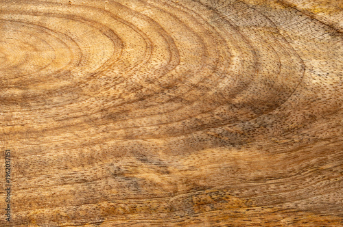 Natural brown wooden board surface with organic circular grain patterns and rough timber texture showing detailed fibers and aged carpenter material details