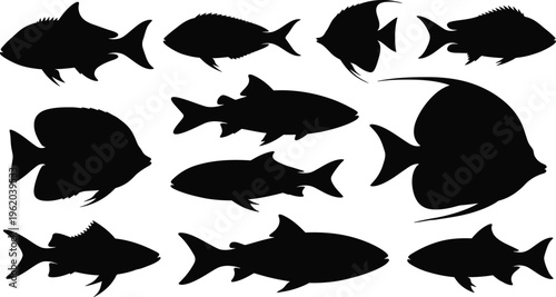 black fish silhouettes on white background
