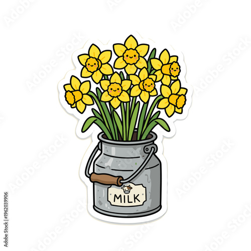 Yellow daffodils in a vintage milk can on a white background  