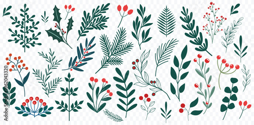 Hand-drawn Winter Evergreen botanical Leaf with Pine Fir Holly vector Set, pine branches,
red berries Mistletoe, Flat modern Christmas clipart decoration