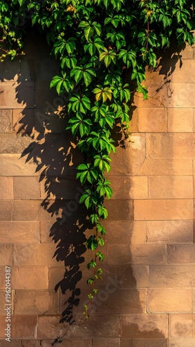 Vibrant green ivy cascading down a textured brick wall, casting intricate shadows in warm sunlight.