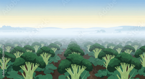 Vast Broccoli Field Plantation at Sunrise in Flat Vector Illustration Style