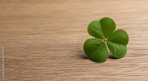 four-leaf clover green circular shape natural on wooden surface for good luck