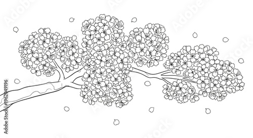 A black and white drawing of a tree branch with flowers.