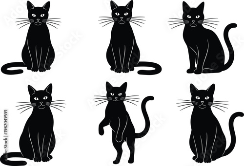 Set of black cat silhouettes with white eyes and whiskers isolated on white background for pets Halloween and animal lovers