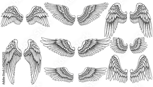 A collection of diverse sketched wing designs showcasing a variety of feather patterns and sizes for imaginative artistic applications wings angel wings bird wings fantasy wings