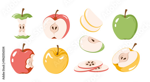 Set of apples with whole, sliced, half and core pieces. Fruit vector illustration