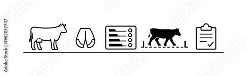 Veterinary lameness scoring and gait assessment for early detection of mobility issues and welfare improvement in livestock management, cow silhouette, hoof, score chart, walking
