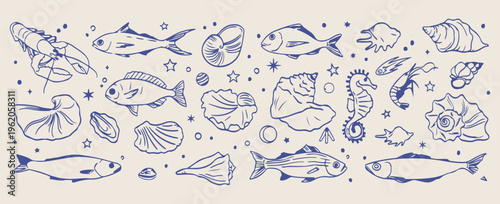  Ocean seashell marine pattern, underwater sea life sketch, tropical beach coast background, nautical aquatic animal illustration, summer seashore nature pattern, coastal marine life elements, seashel