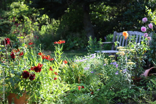 Photography Seat and table in a garden surrounded by flower beds full of heleniums and dahli