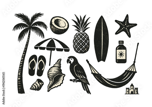 A tropical island and beach life themed collection of isolated coastal objects and natural elements, designed as a vintage reference sheet of individual design