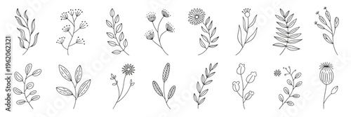 Delicate black ink plant illustrations and leaf art – Perfect for herbal medicine branding, feminine logos, or greeting cards.