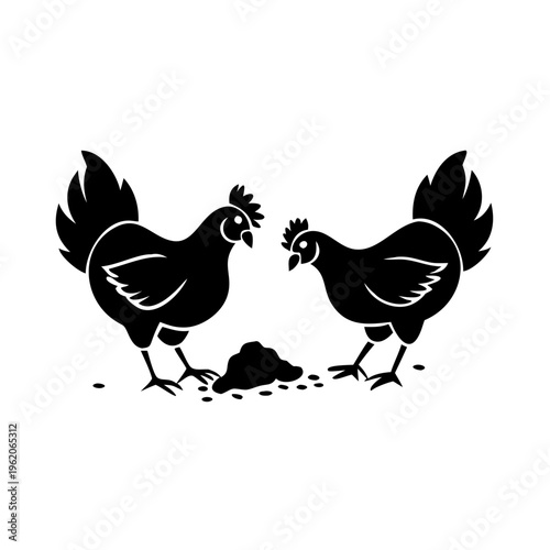 Black silhouettes of chickens scratching dirt on ground, foraging for food. Domestic fowl, Gallus gallus domesticus, display natural behavior as chickens scratching dirt. Ideal for farming.