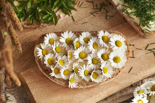 Common daisy and ground elder on slices of bread, closeup. Foraging concept.