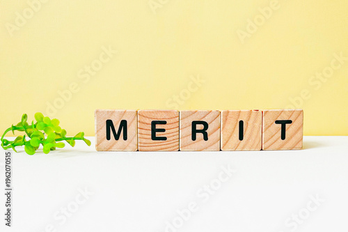 MERIT・メリットの文字ブロック
　