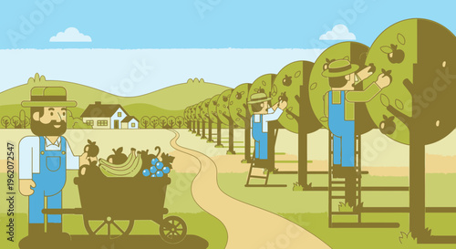 Men picking apples from trees farm.