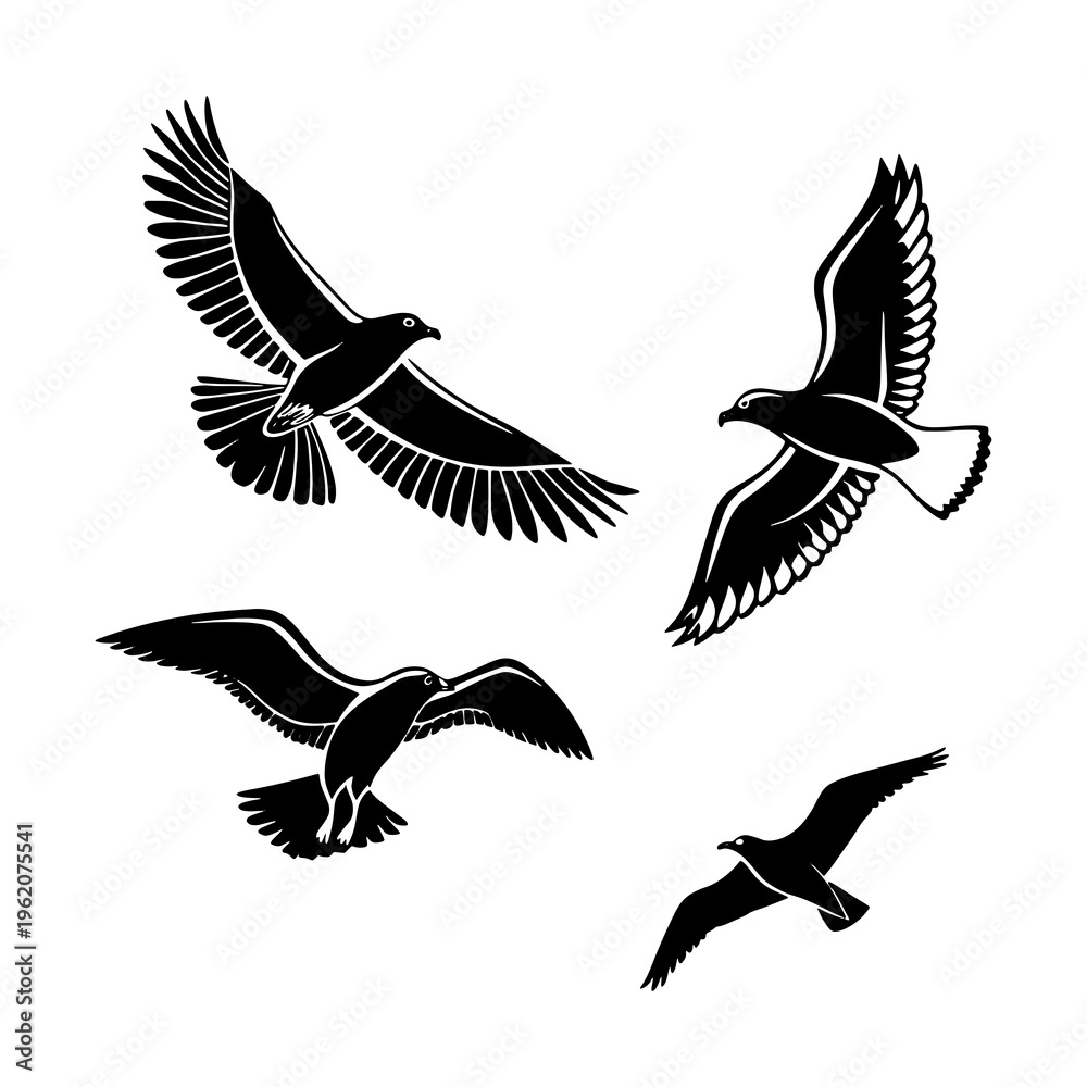 Fototapeta premium set of silhouettes of birds