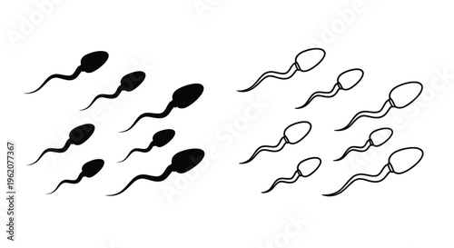 Multiple black and white illustrations depicting human sperm cells