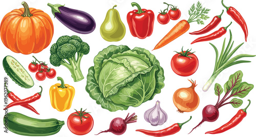 Organic vegetable vector collection. Realistic icons including cabbage, pumpkin, broccoli, beetroot, chili peppers, and garlic for healthy food and harvest design.