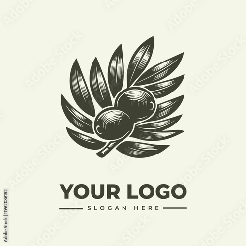 A logo design featuring a stylized illustration of olives and leaves with a placeholder text 'YOUR LOGO' and 'SLOGAN HERE' on a beige background, in a vintage engraving woodcut style.